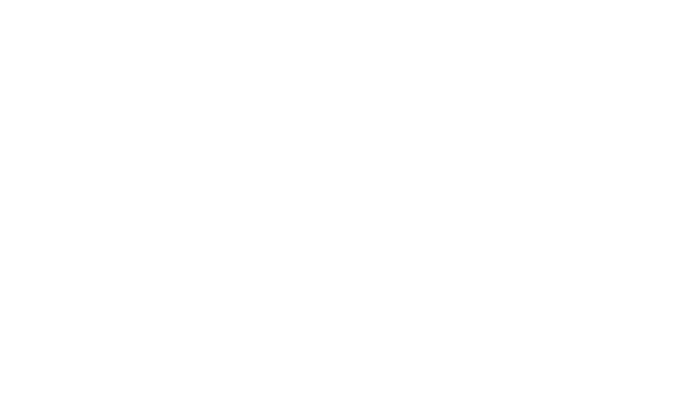 Amira